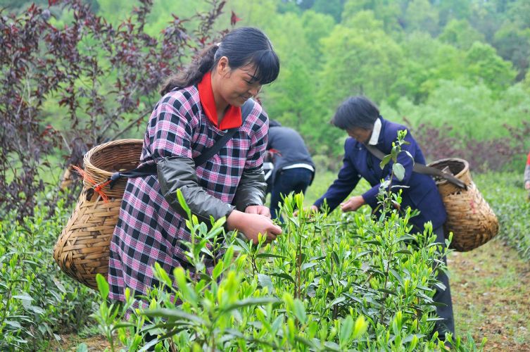 非遗文化节暨开园仪式圆满启动.jpg