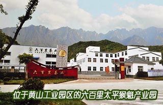 黄山六百里猴魁茶业有限公司董事长郑中明访谈录.jpg